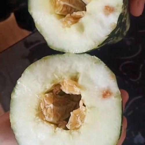 和好友吃瓜,吃瓜聊翻天！  第2张