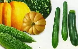 老贺吃瓜  第1张