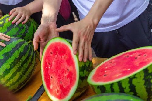 郑州吃瓜学院,揭秘城市美食背后的故事与传奇  第2张