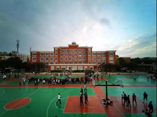 郑州吃瓜学院,揭秘城市美食背后的故事与传奇  第3张