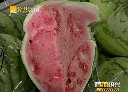 最新绍兴吃瓜,最新“吃瓜”事件揭秘  第2张